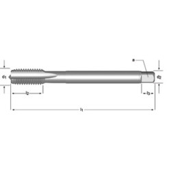 DORMER E268 M 12 150 AP MACHO